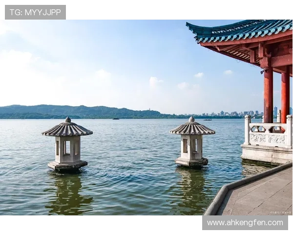 海鸥飞处，心之所向：一场关于自由与梦想的诗意追寻